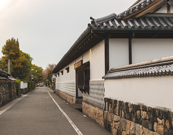 image:White walled town